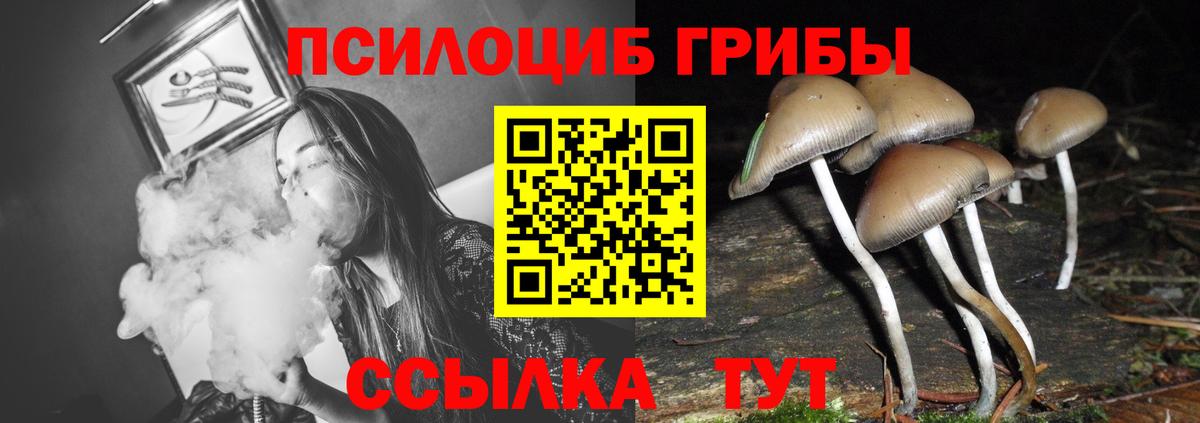 Галлюциногенные грибы Cubensis Донской